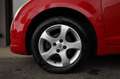 Suzuki Swift 1.3i 5Porte Ideale NEOPATENTATI Navi Clima KEYLESS Rosso - thumbnail 14