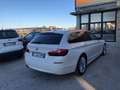 BMW 520 Serie 5  Touring 520d Touring xdrive Business Bianco - thumbnail 5