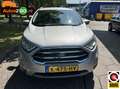 Ford EcoSport 1.0 EcoBoost Trend Ultimate Grijs - thumbnail 19