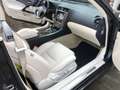 Lexus IS 250 250C Executive Grijs - thumbnail 11