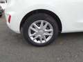 Ford Fiesta 1,1 Trend Bianco - thumbnail 16