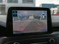 Ford Focus Wagon 1.5 EcoBoost ST Line Business | B&O | Hud | Schwarz - thumbnail 18