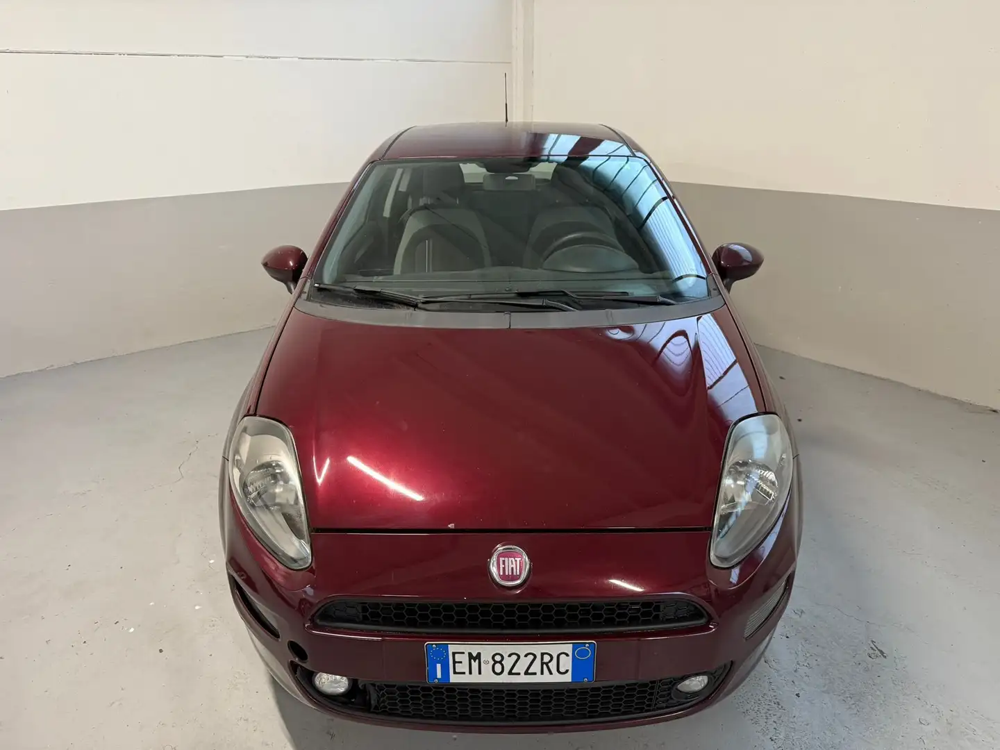 Fiat Punto Evo TURBINA NUOVA,CATENA NUOVA TAGLIANDO OK Violet - 2