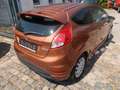 Ford Fiesta Trend Braun - thumbnail 7