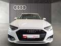 Audi A4 35 TFSI S tronic Navi B&O Tempomat DAB Weiß - thumbnail 4