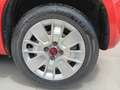 Fiat Panda Panda 1.2 Easy 69cv Rood - thumbnail 14