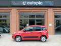 Fiat Panda Panda 1.2 Easy 69cv Rood - thumbnail 2