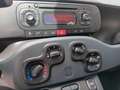 Fiat Panda Panda 1.2 Easy 69cv Rood - thumbnail 11