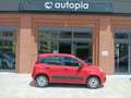 Fiat Panda Panda 1.2 Easy 69cv Rood - thumbnail 5