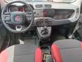 Fiat Panda Panda 1.2 Easy 69cv Rood - thumbnail 8