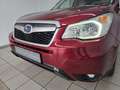 Subaru Forester 2.0 Exclusive 4WDXenon Kamera Dach AHK Rot - thumbnail 5