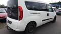 Fiat Doblo Cargo MAXI Weiß - thumbnail 5