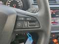 SEAT Ibiza 1.6TDI CR S&S Reference 95 Gris - thumbnail 19