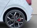 Volkswagen Polo GTI GTI 2,0 l TSI DSG IQ.Drive IQ.Light Black Roo Weiß - thumbnail 30