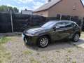 Lexus UX 250h Business Edition - thumbnail 4