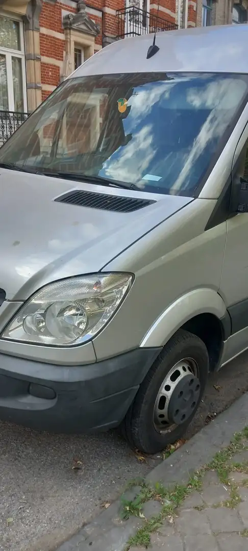 Mercedes-Benz Sprinter 315 CDI 4x4 906.733 - 1