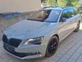 Skoda Superb Superb Kombi 2,0 TDI 4x4 Sportline DSG Sportline Grau - thumbnail 1