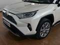 Toyota RAV 4 Rav4 2.5l 220H Luxury 4WD Blanco - thumbnail 10