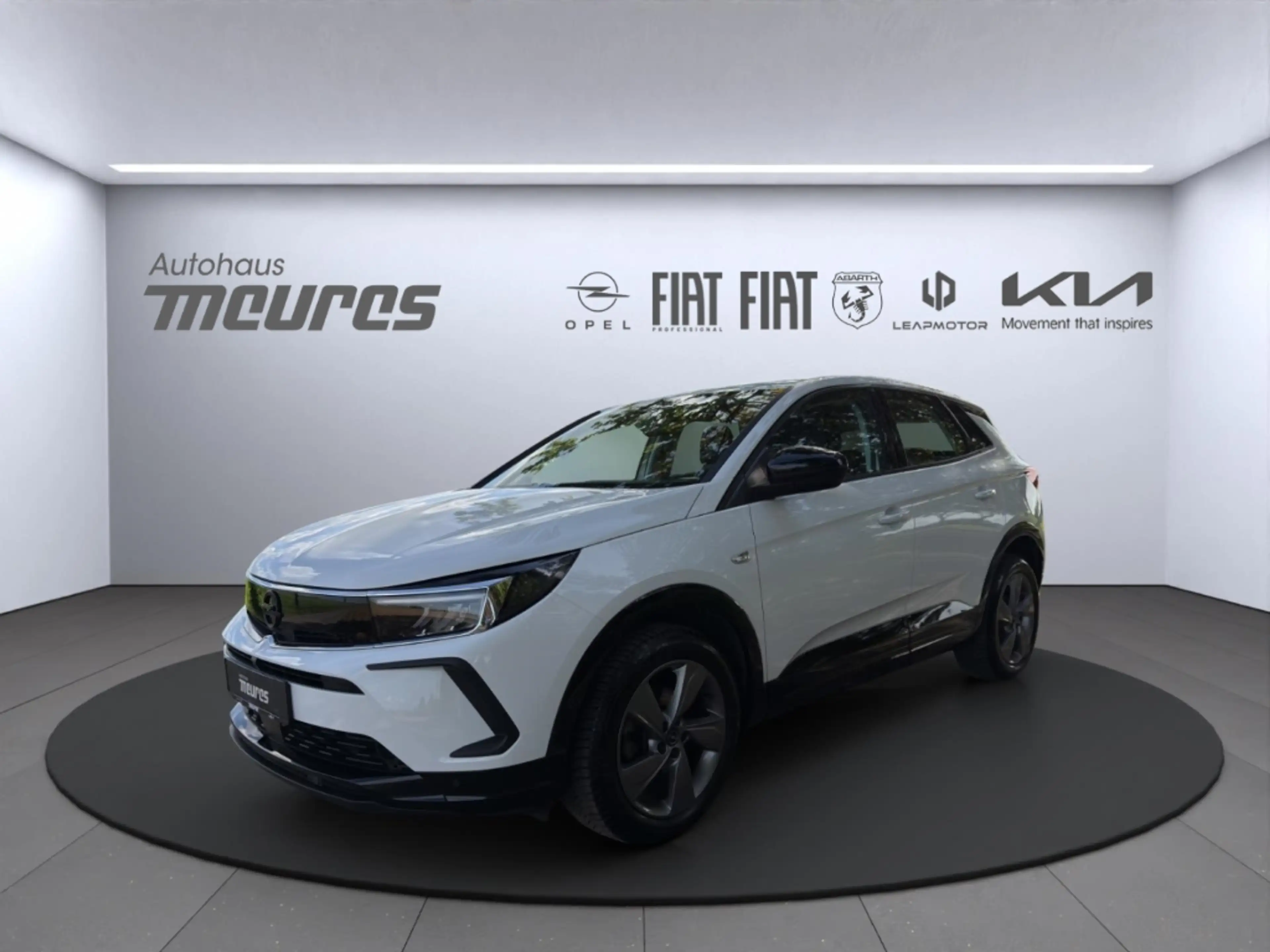 Opel Grandland GS-Line ATG AHK-abnehmbar Navi Allwetterreifen 360