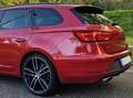 SEAT Leon Cupra ST300 4drive Rouge - thumbnail 10