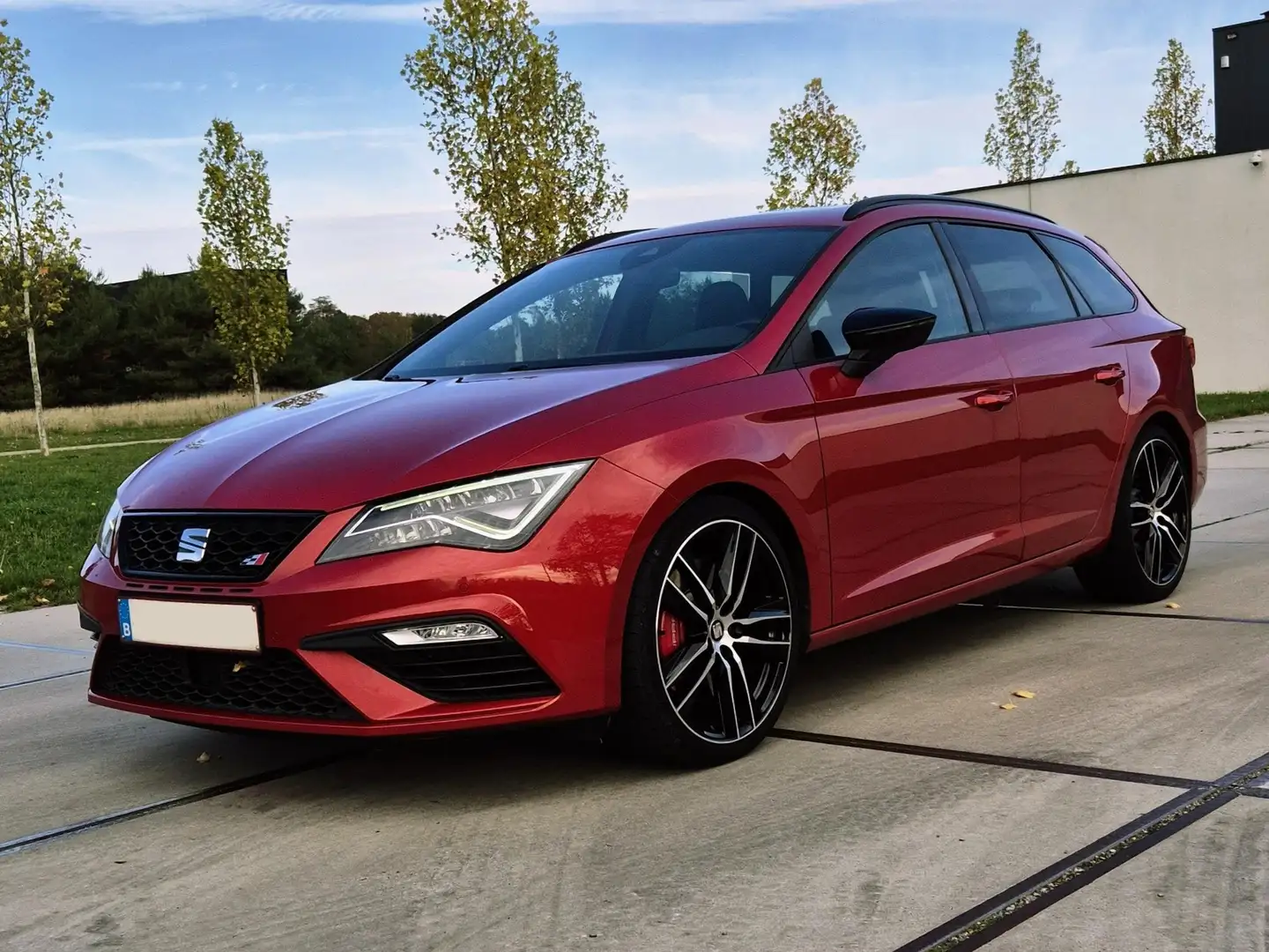 SEAT Leon Cupra ST300 4drive Rouge - 1