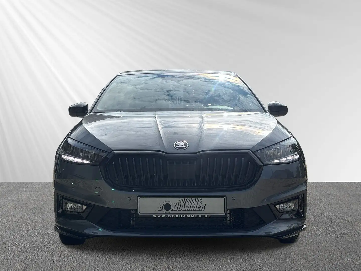 Skoda Fabia 1,0 TSI DSG Monte Carlo TEMPOMAT+RÜCK.KAM+SHZ+LED Grau - 2