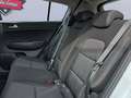 Kia Sportage 1.6 GDi Concept 4x2 Blanco - thumbnail 14