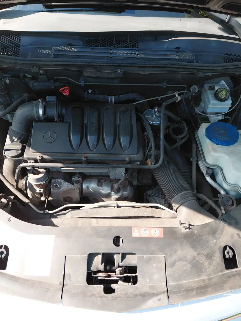 Mercedes-Benz B 200 B 200 CDI Special Edition - 1