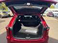 Mazda CX-60 Homura Plus 254 Sofort Metallic Rouge - thumbnail 8