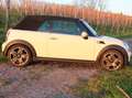 MINI Cooper Cabrio 1. Hand, Vollleder, SHZ, Klimaautomatik... Weiß - thumbnail 2
