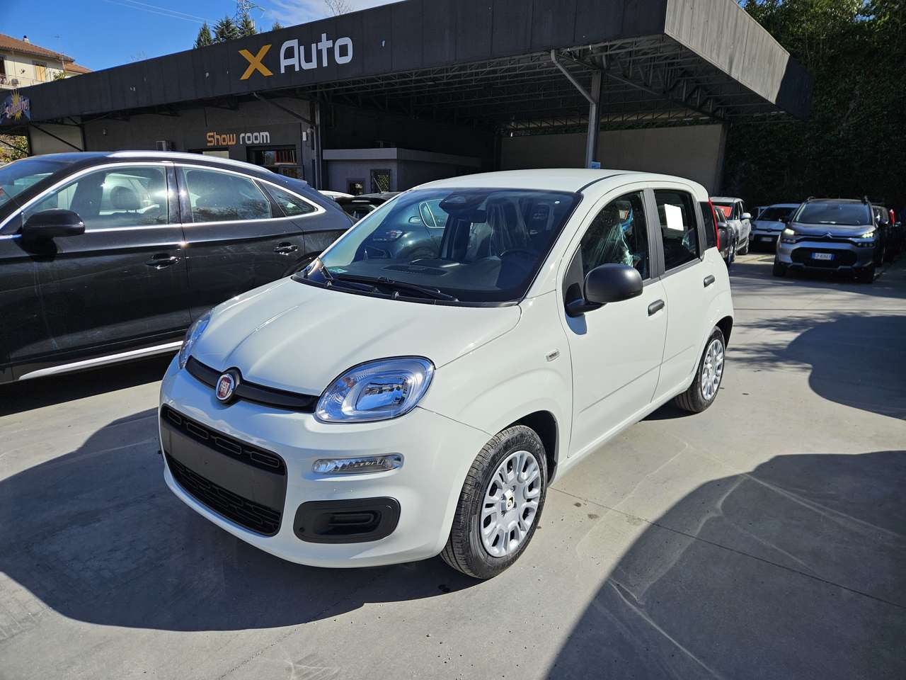 Fiat Panda Pandina Icon 1.0 firefly hybrid s&s 5 Posti e Ruota di Scorta