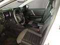 Citroen C4 Pure Tech 130 S/S Shine Weiß - thumbnail 9