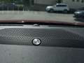 Ford Kuga Vignale Plug-In Hybrid Rot - thumbnail 15