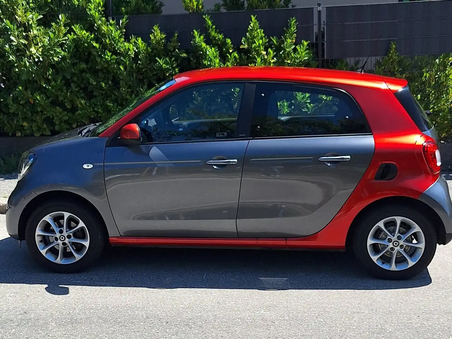 smart forFour Passion Grau - 1