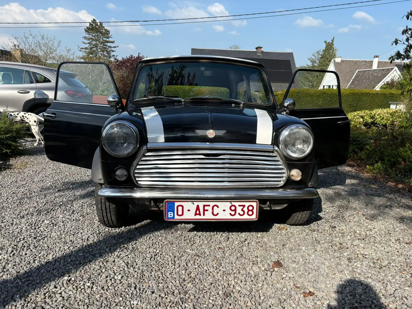 MINI 1000 - 1