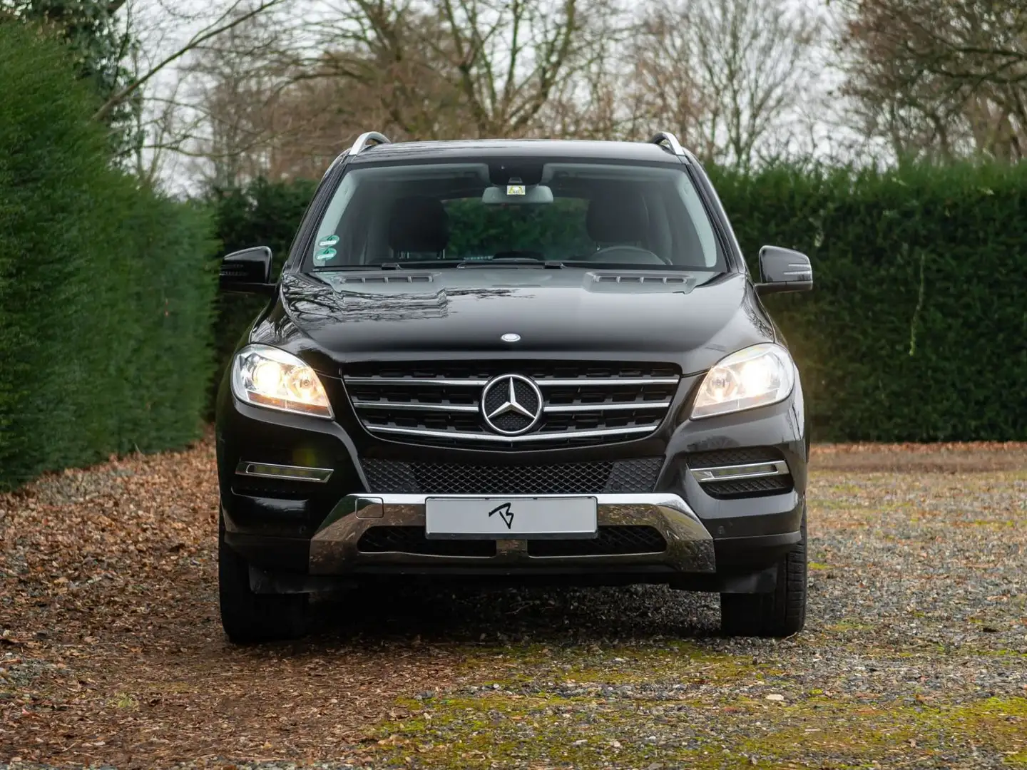 Mercedes-Benz ML 250 ML 250 BlueTEC 4MATIC 7G-TRONIC Black - 1