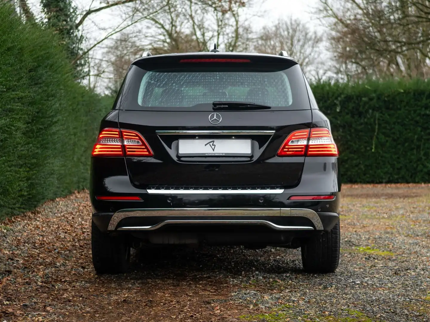 Mercedes-Benz ML 250 ML 250 BlueTEC 4MATIC 7G-TRONIC Black - 2