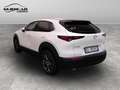 Mazda CX-30 - CX-30 2.0 m-hybrid Exclusive 2wd 186cv 6mt Bianco - thumbnail 4