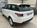 Land Rover Range Rover Sport 3.0 tdV6 SE CONDIZIONI RARISSIME DA VETRINA! - thumbnail 1