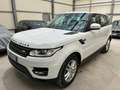 Land Rover Range Rover Sport 3.0 tdV6 SE CONDIZIONI RARISSIME DA VETRINA! - thumbnail 2