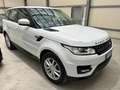 Land Rover Range Rover Sport 3.0 tdV6 SE CONDIZIONI RARISSIME DA VETRINA! - thumbnail 3
