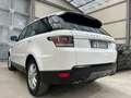 Land Rover Range Rover Sport 3.0 tdV6 SE CONDIZIONI RARISSIME DA VETRINA! - thumbnail 5