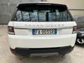 Land Rover Range Rover Sport 3.0 tdV6 SE CONDIZIONI RARISSIME DA VETRINA! - thumbnail 4