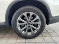 Mercedes-Benz GLC 250 GLC 250 d Exclusive 4Matic (253.909) Weiß - thumbnail 15