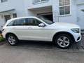 Mercedes-Benz GLC 250 GLC 250 d Exclusive 4Matic (253.909) Weiß - thumbnail 17
