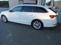 Skoda Octavia Octavia Combi 2,0 TDI Premium DSG LED, NAVI, PDC Weiß - thumbnail 5