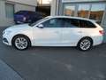 Skoda Octavia Octavia Combi 2,0 TDI Premium DSG LED, NAVI, PDC Weiß - thumbnail 6