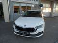 Skoda Octavia Octavia Combi 2,0 TDI Premium DSG LED, NAVI, PDC Weiß - thumbnail 1