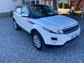 Land Rover Range Rover Evoque Range Rover Evoque 5p 2.2 td4 Prestige 150cv auto Blanc - thumbnail 5