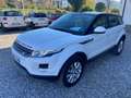 Land Rover Range Rover Evoque Range Rover Evoque 5p 2.2 td4 Prestige 150cv auto Blanc - thumbnail 4